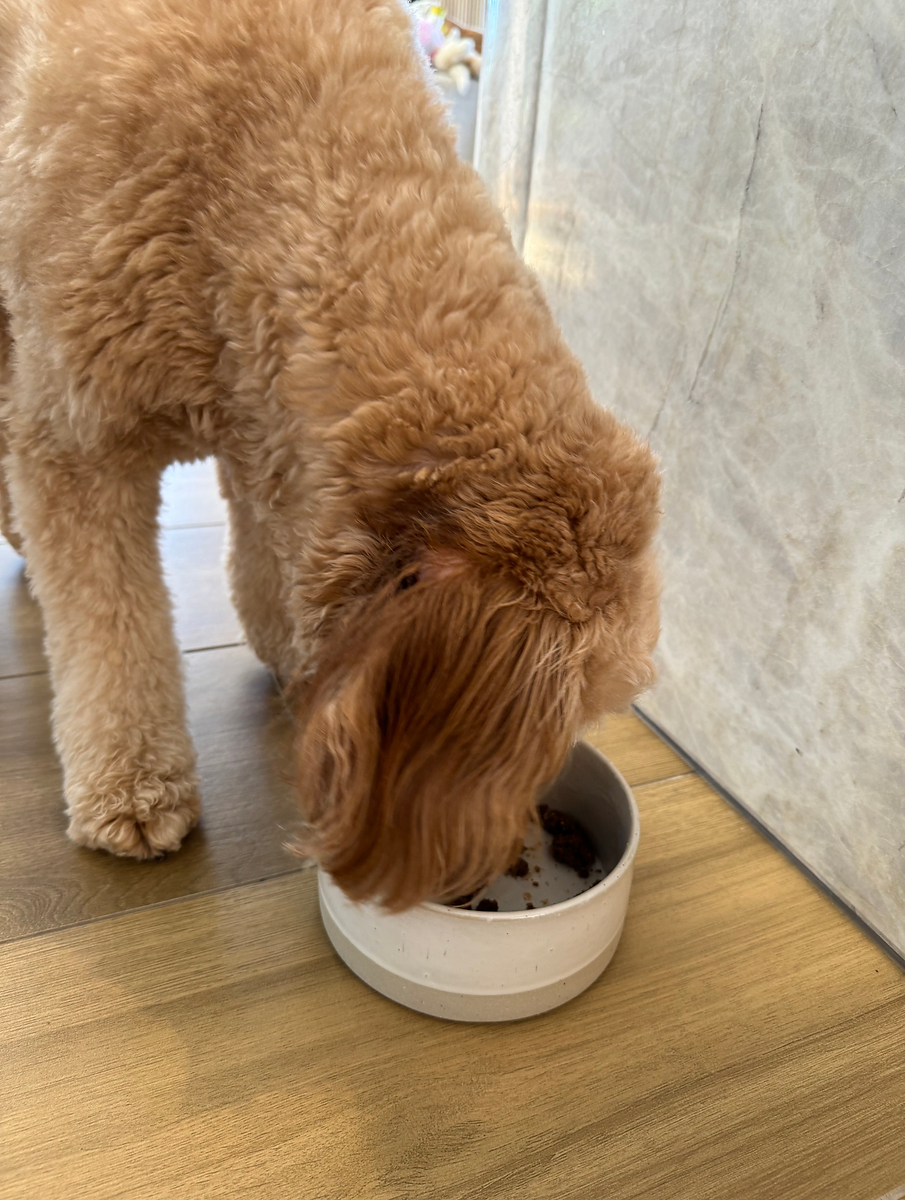 Thumbnail: Peanut Butter Kibble Crumble