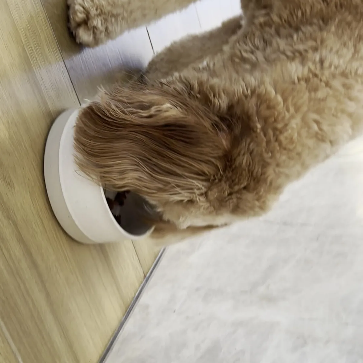 Thumbnail: Peanut Butter Kibble Crumble