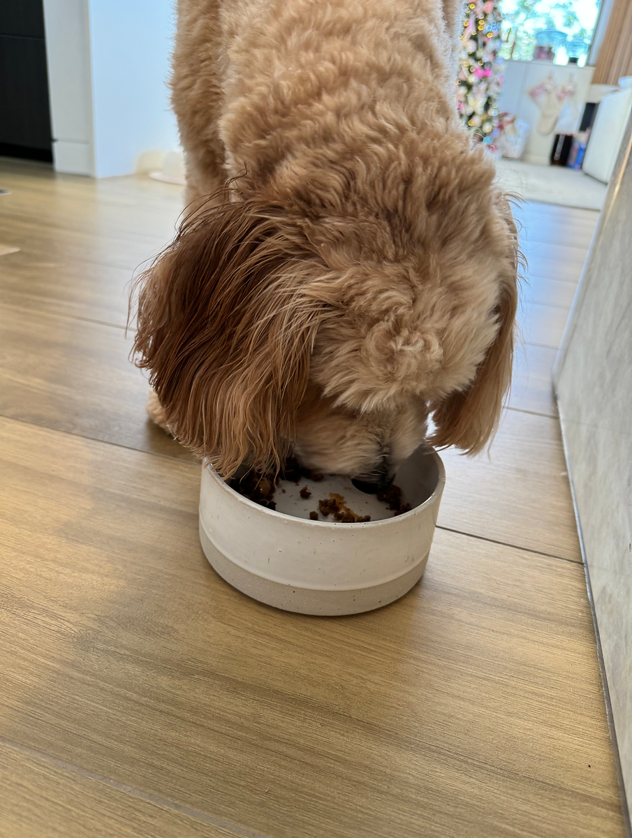 Thumbnail: Peanut Butter Kibble Crumble